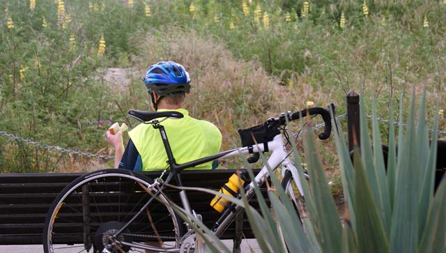 Cyclist’s Lunch Break