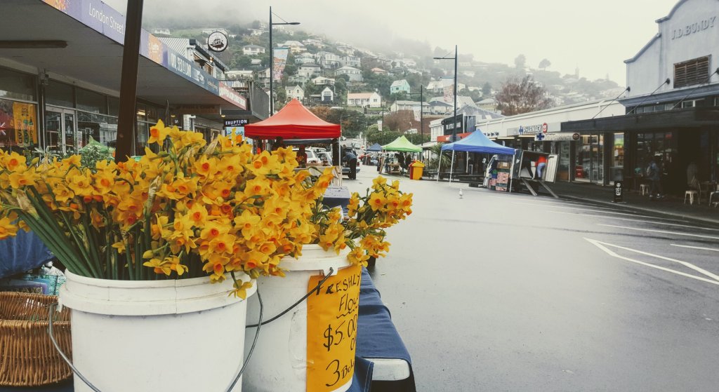 Flowers in Lyttelton