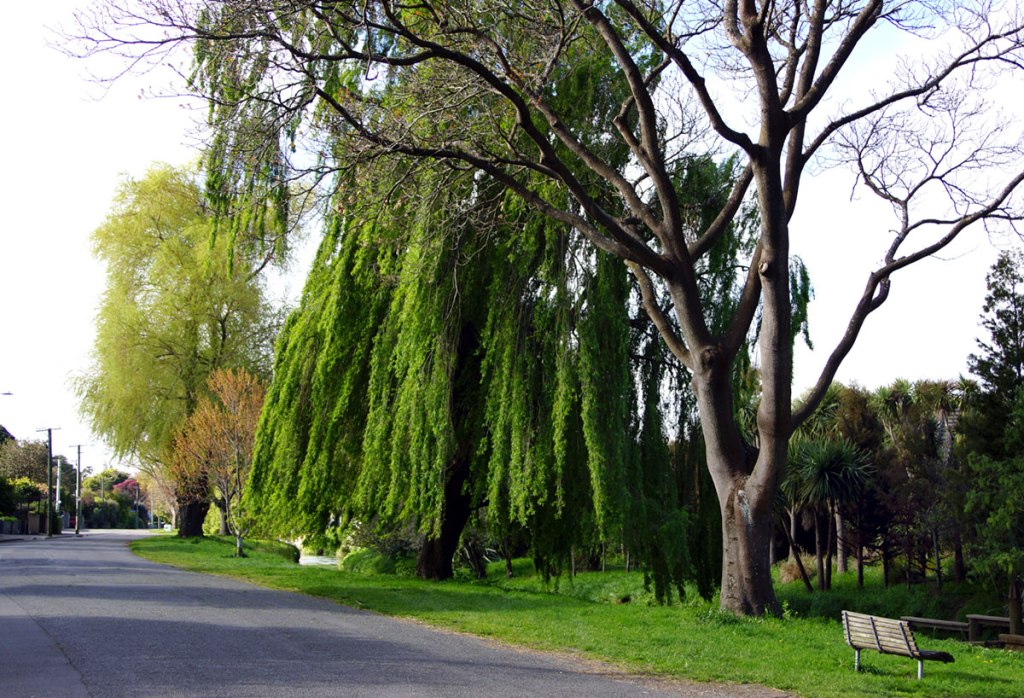 Eastern Terrace in&nbsp;Beckenham
