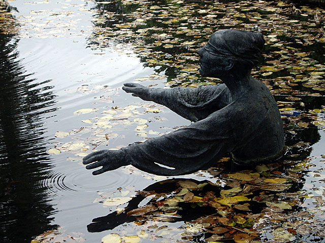 A figure submerged in a pond surrounded by floating autumn leaves, part of the water sculpture 'Regret' by Sam Mahon in Hagley Park.