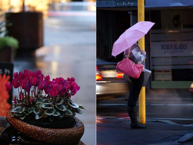 Rainy Day in&nbsp;Pink