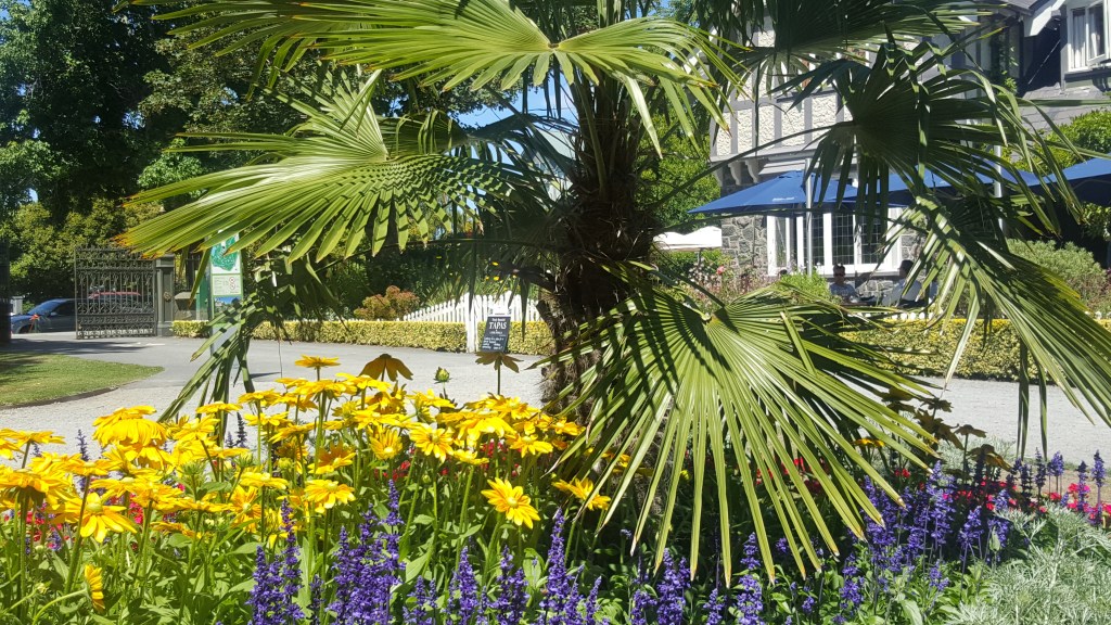 Flower bed in the Botanic&nbsp;Gardens
