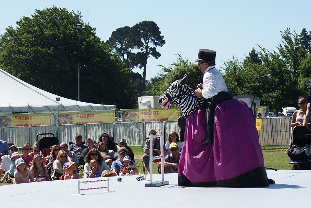 Buskers at Hagley&nbsp;Park