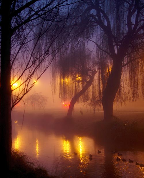 A misty early morning scene at Hagley Park, featuring bare trees and reflections in a calm waterway, illuminated by distant street lights.
