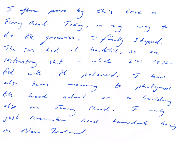 Ferry Road Tree and&nbsp;Advert