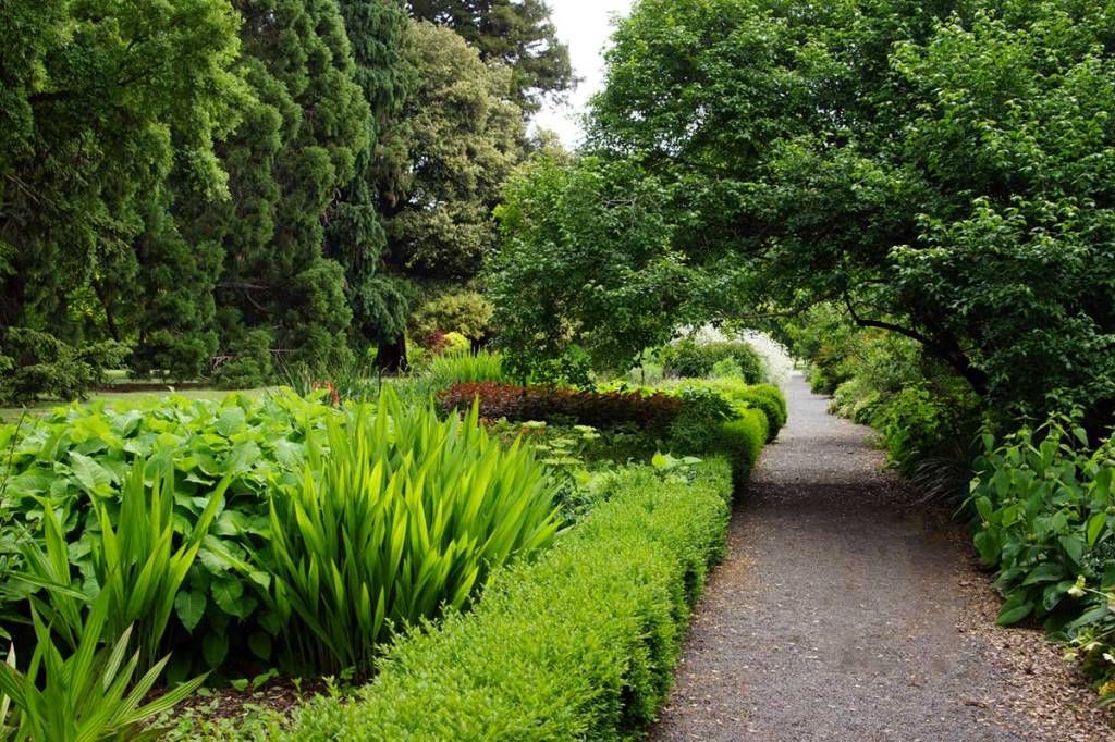 Herbaceous Border at the Botanic&nbsp;Gardens