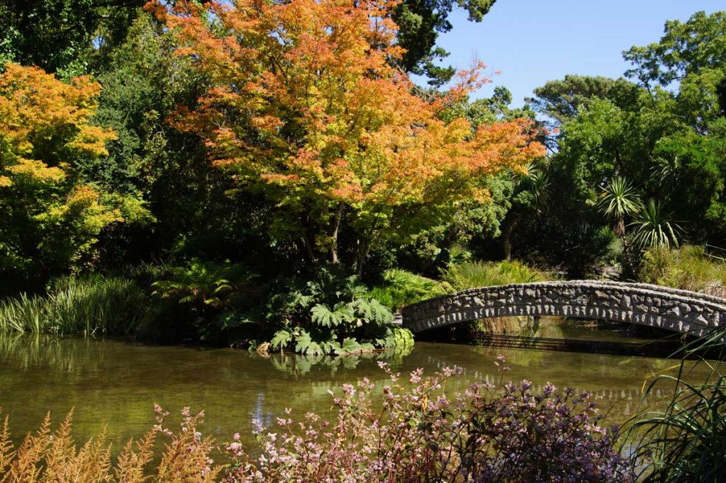 The stunning water garden in the Botanic&nbsp;Gardens
