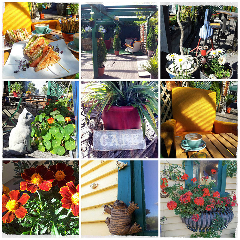 Browsers Cafe in&nbsp;Riccarton