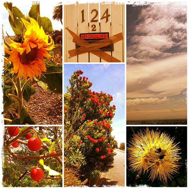 A walk up the&nbsp;Hill