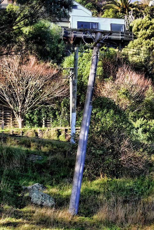 Wonky Power Pole, Bridle Path&nbsp;Road