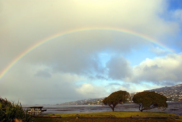 Two trees and a&nbsp;rainbow