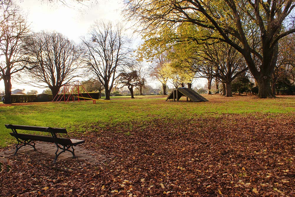 More Monarchs, St James Park and&nbsp;Butterflies