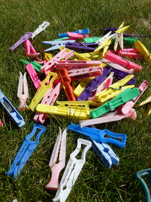 Curious case of the pegs in the&nbsp;garden