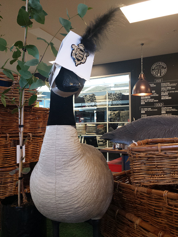 Mystery Bird at The&nbsp;Colombo