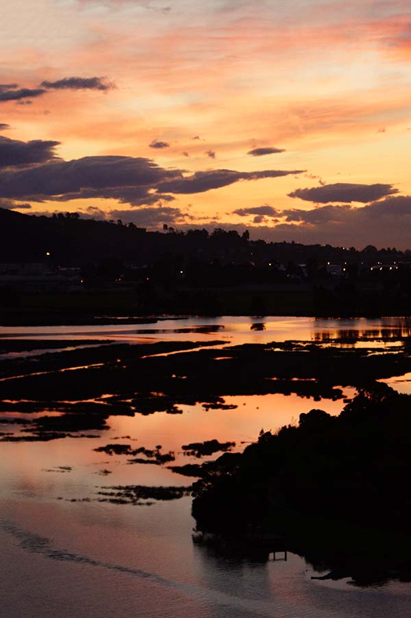 The Sky Tonight with the Heathcote&nbsp;River