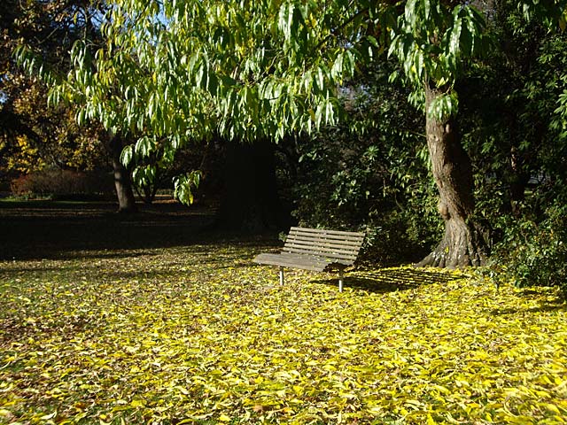 Seat, Botanic Gardens