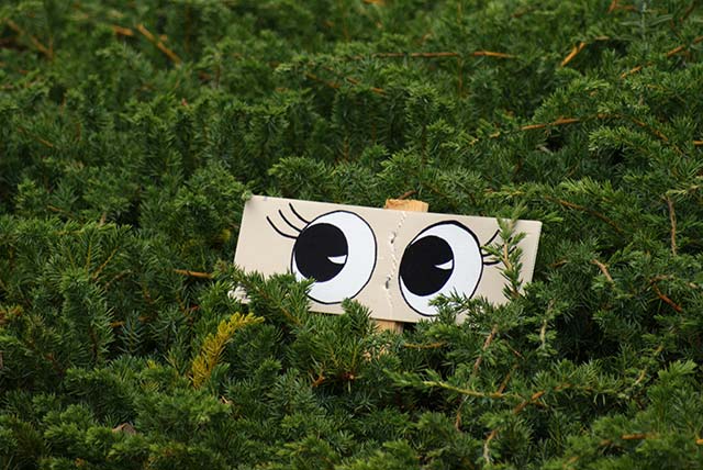 An afternoon in the&nbsp;Gardens