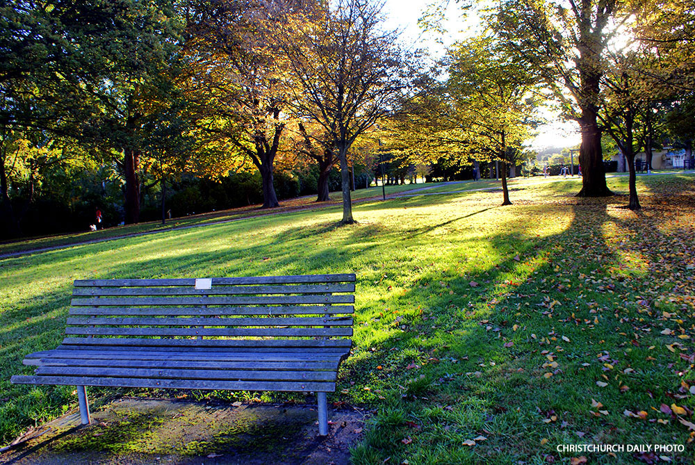Hagley Park