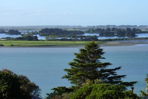 DSC07890