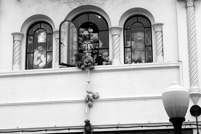 Happy Bears Don’t Run&nbsp;Away