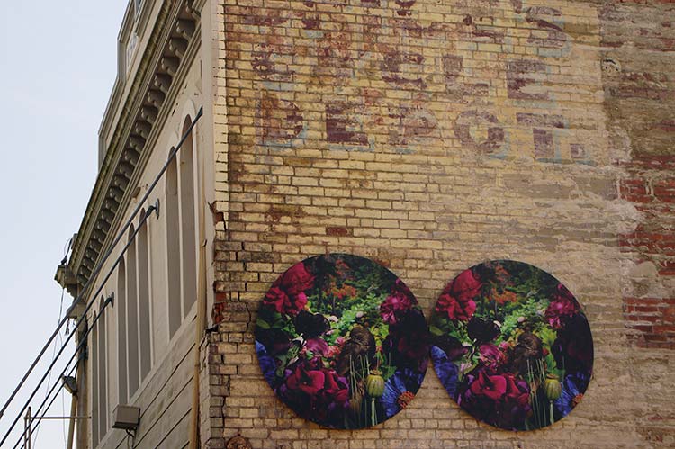 Faux Arcadia by Michaela&nbsp;Cox