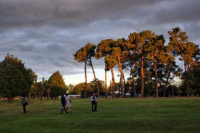 Hagley Park at&nbsp;Dusk
