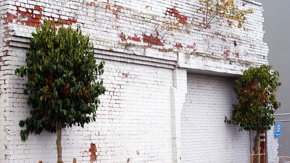 Trees in the Les Mills Car Park, Central&nbsp;City