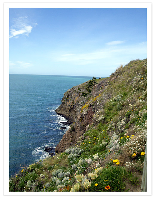 Taylor’s Mistake Coastline