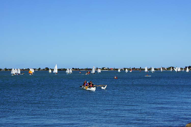 A scenic view of the estuary during the inaugural Estuary Fest, featuring a variety of boats including sailboats and kayaks on the water under a clear blue sky.