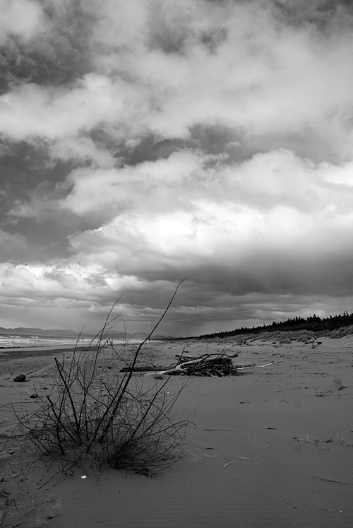 Woodend Beach in Black and&nbsp;White