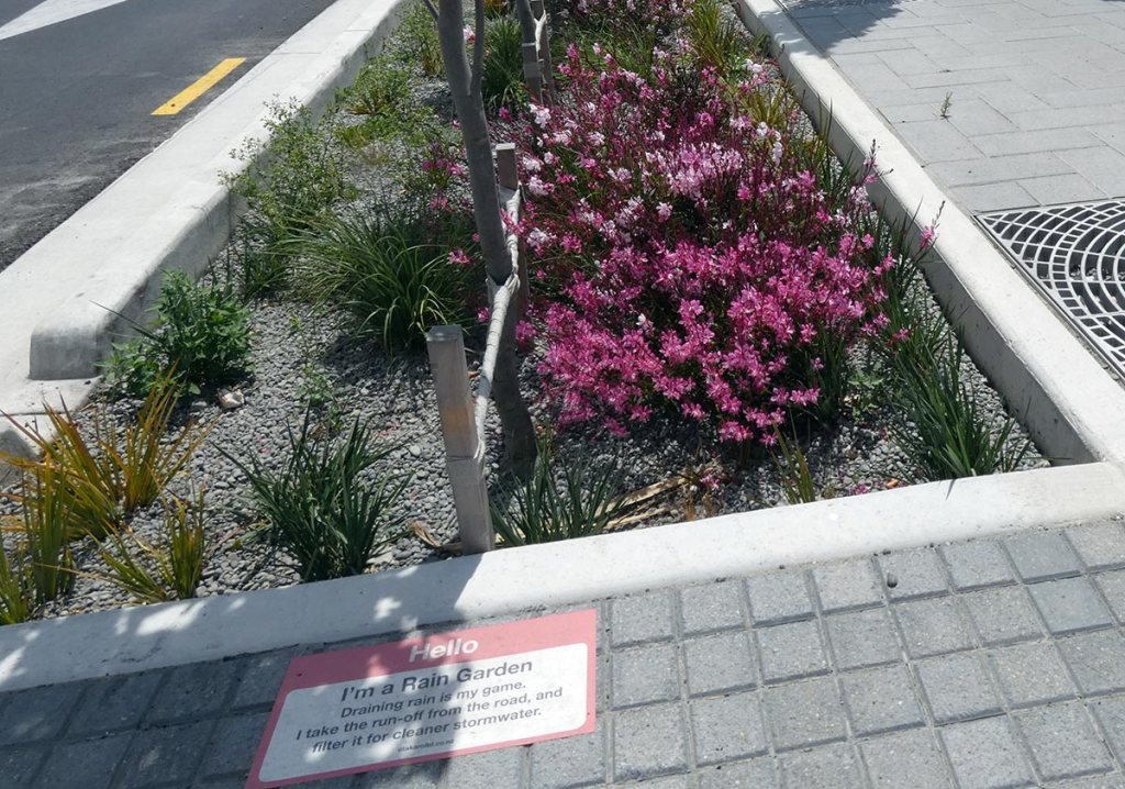 Rain Garden on Manchester&nbsp;Street