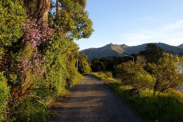 Late afternoon light on Ferrymead Park&nbsp;Terrace