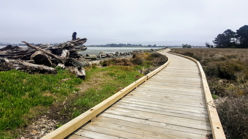 Estuary by South New&nbsp;Brighton