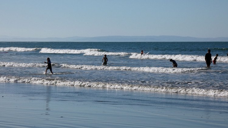People playing in the shallow waves at a beach on a sunny day, with gentle surf and distant hills in the background.