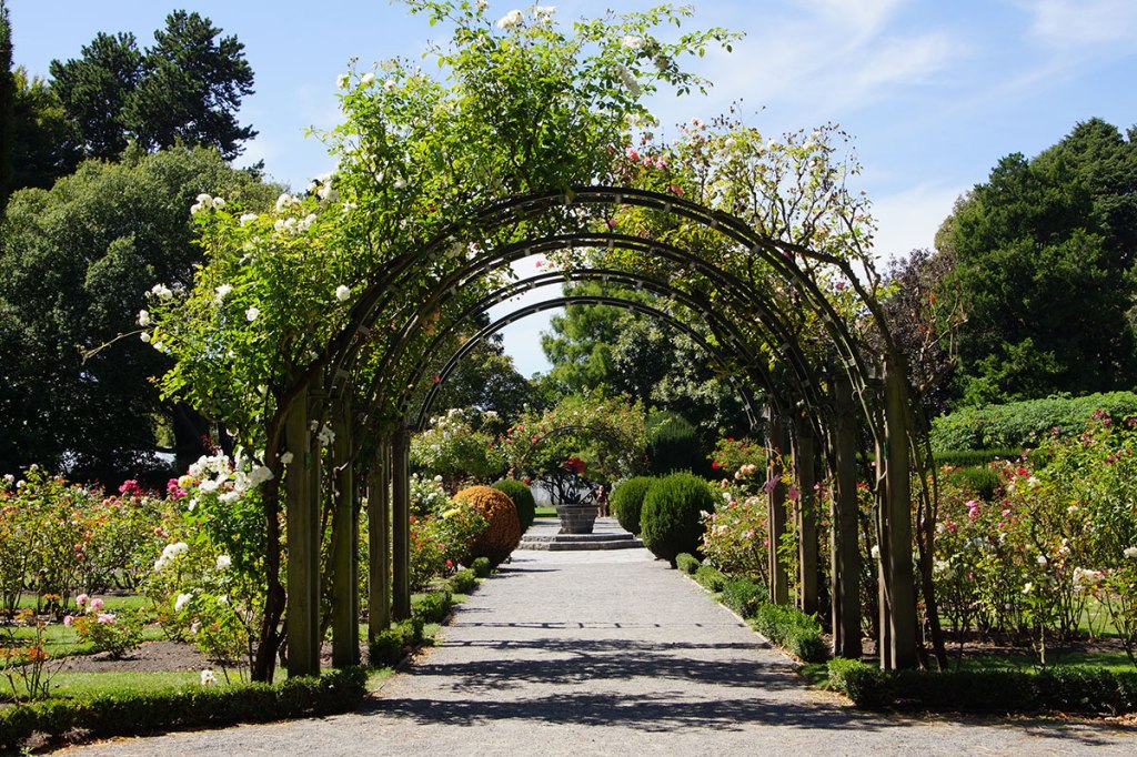 Rose Garden in the Christchurch Botanic&nbsp;Gardens