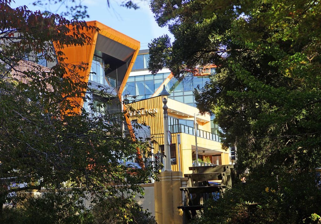 The Terrace through the&nbsp;Trees