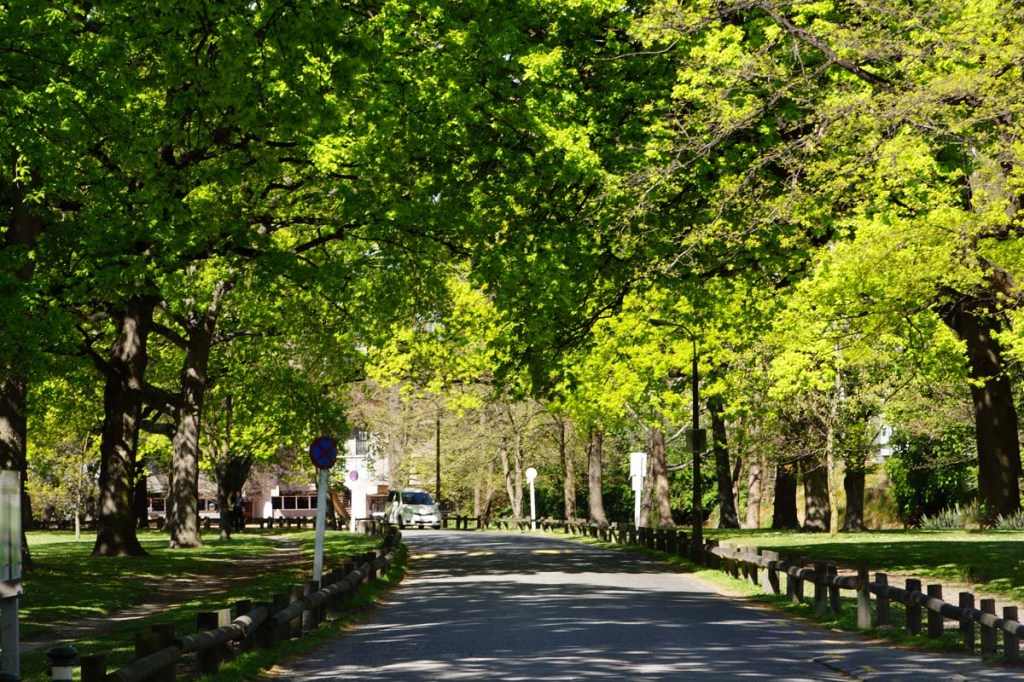 Botanic Gardens Access&nbsp;Road