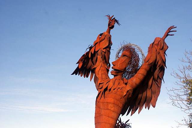 Is man an ape or an&nbsp;angel?