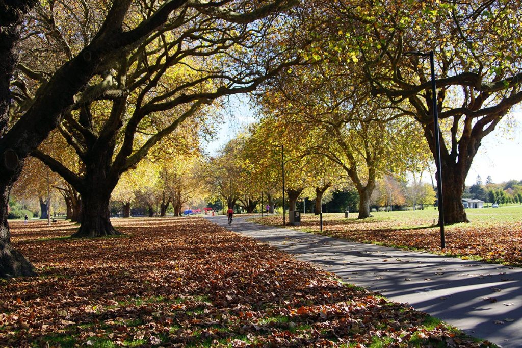 Hagley Park in&nbsp;Autumn