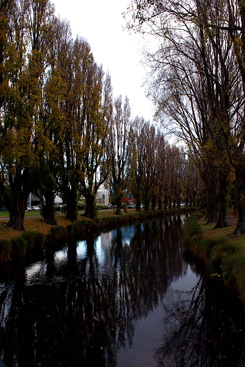 Poplars by the Avon&nbsp;River