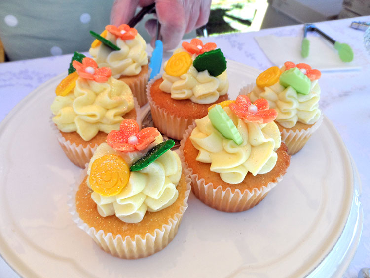 A day at The Culverden Christmas Country&nbsp;Fete