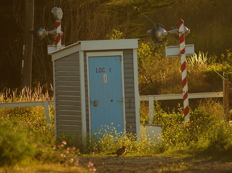 A small wooden shelter with a blue door labeled 'LOC 1' beside a railway crossing, surrounded by greenery and flowers, with a rabbit in the foreground.