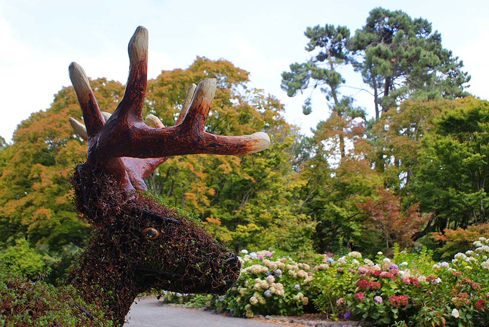 Topiary Deer in the Botanic&nbsp;Gardens