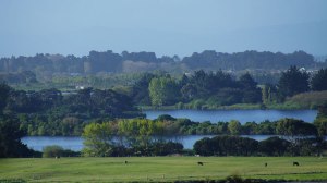 DSC07887