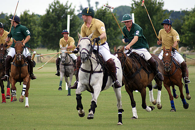 Polo Match