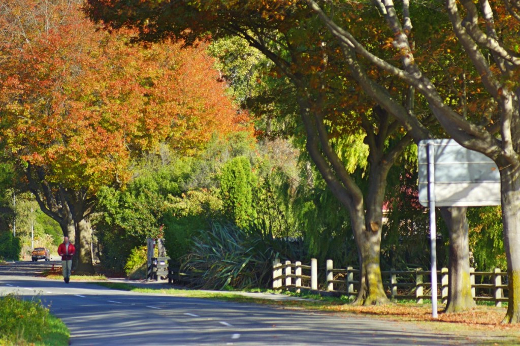 Autumnal Bridle Path