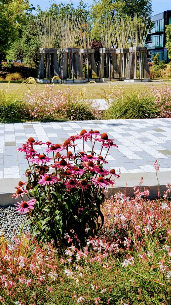 Tree Houses for Swamp&nbsp;Dwellers