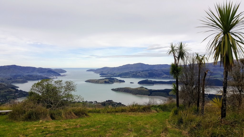 View from across the Sign of the&nbsp;Bellbird