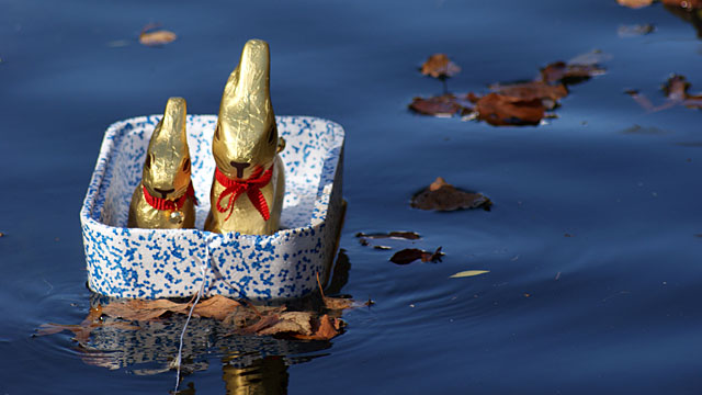 bunny-cute-boat bunny-cute-boat