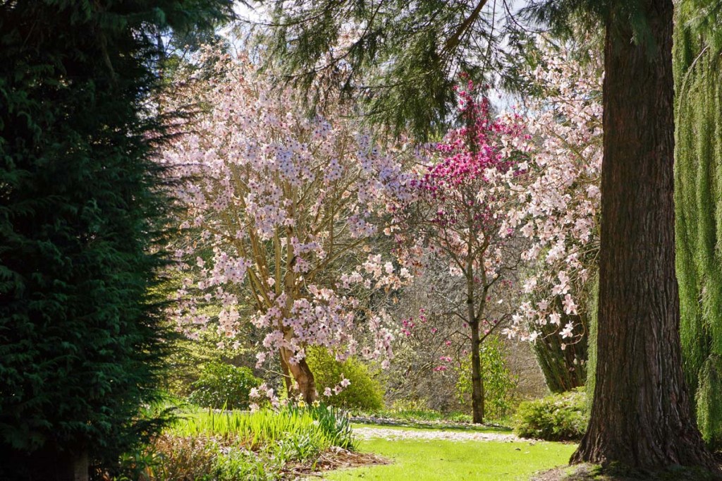 Maple Glen Garden, Wyndham,&nbsp;Southland